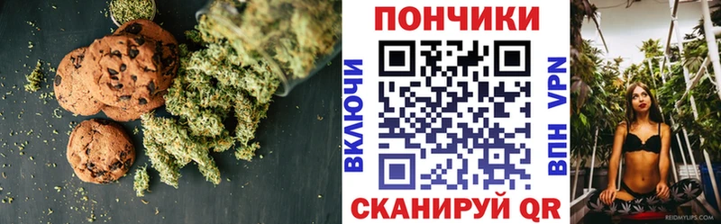 закладки  Пошехонье  Cannafood конопля 