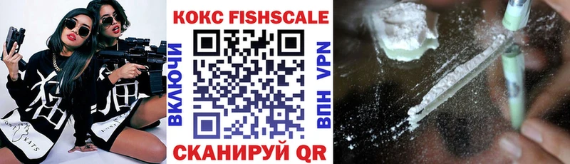 mega зеркало  Пошехонье  Кокаин Fish Scale 
