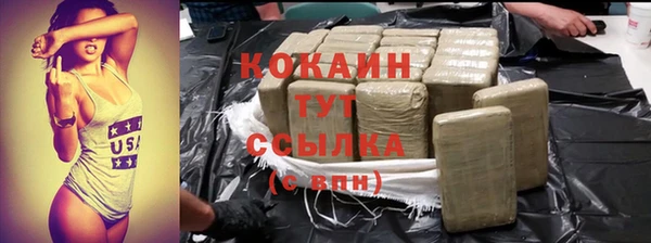 хмурый Арсеньев
