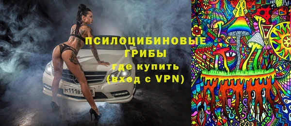 хмурый Арсеньев