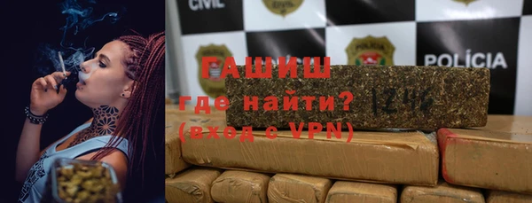 хмурый Арсеньев