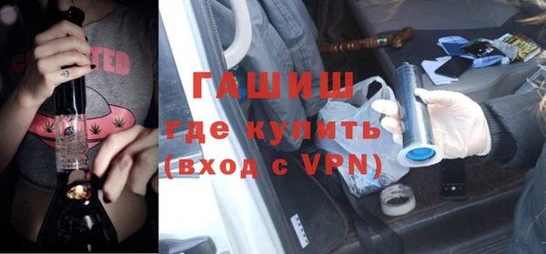 хмурый Арсеньев