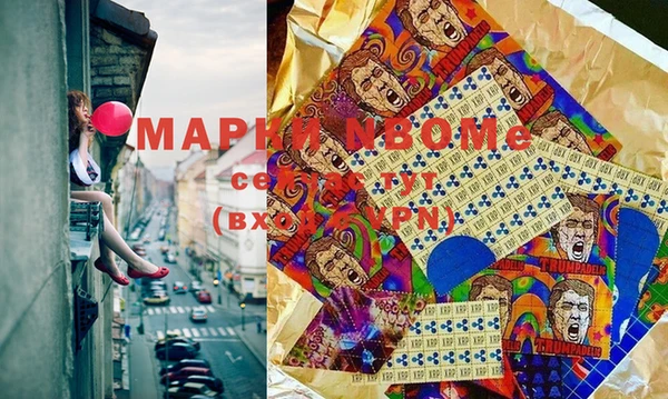 хмурый Арсеньев