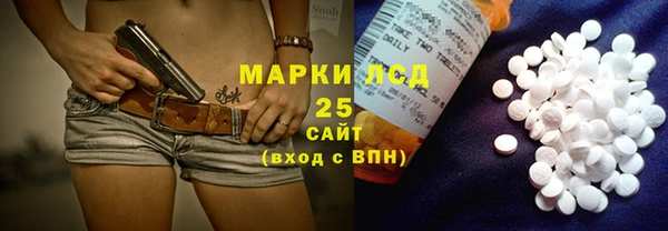 хмурый Арсеньев