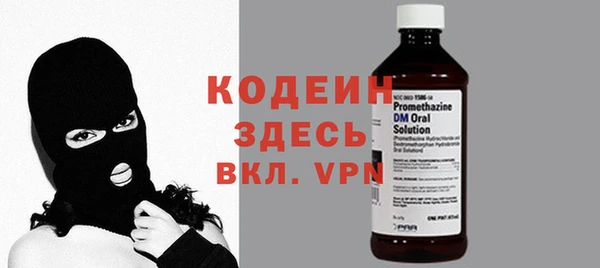 хмурый Арсеньев