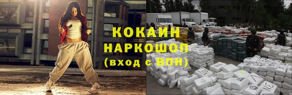 хмурый Арсеньев