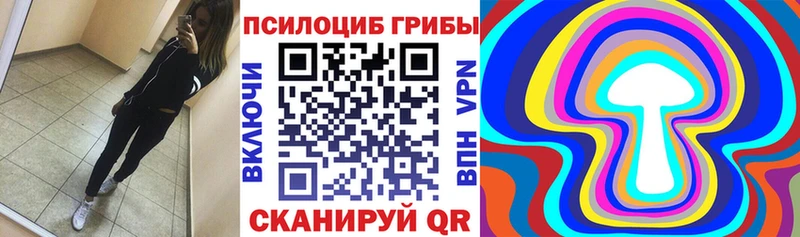 Галлюциногенные грибы GOLDEN TEACHER  купить наркотики сайты  Пошехонье 